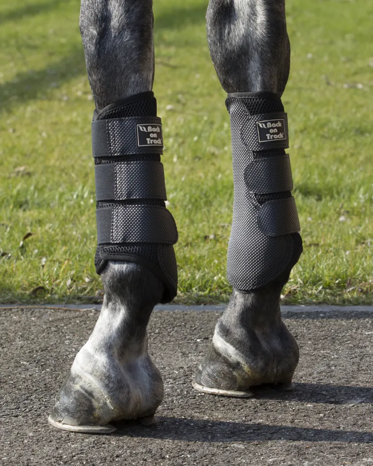 3D Mesh Splint (Brush) Boots