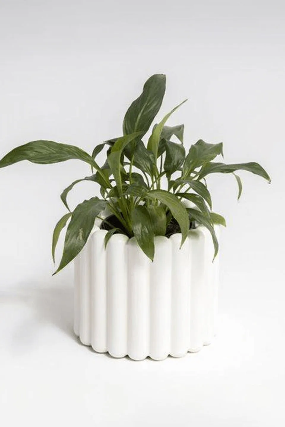 Alto White Ribbed Vase