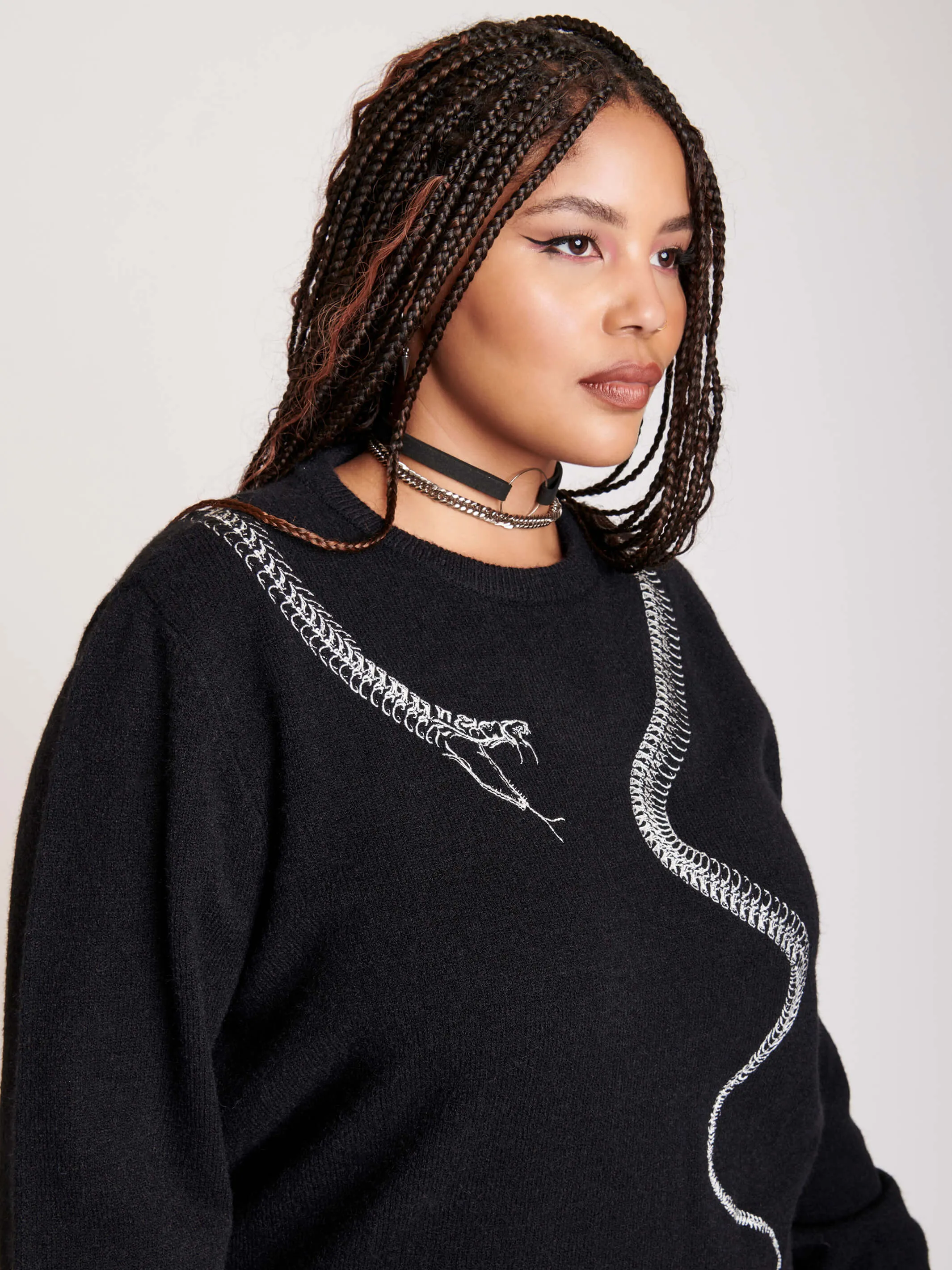 Embroidered Snake Sweater