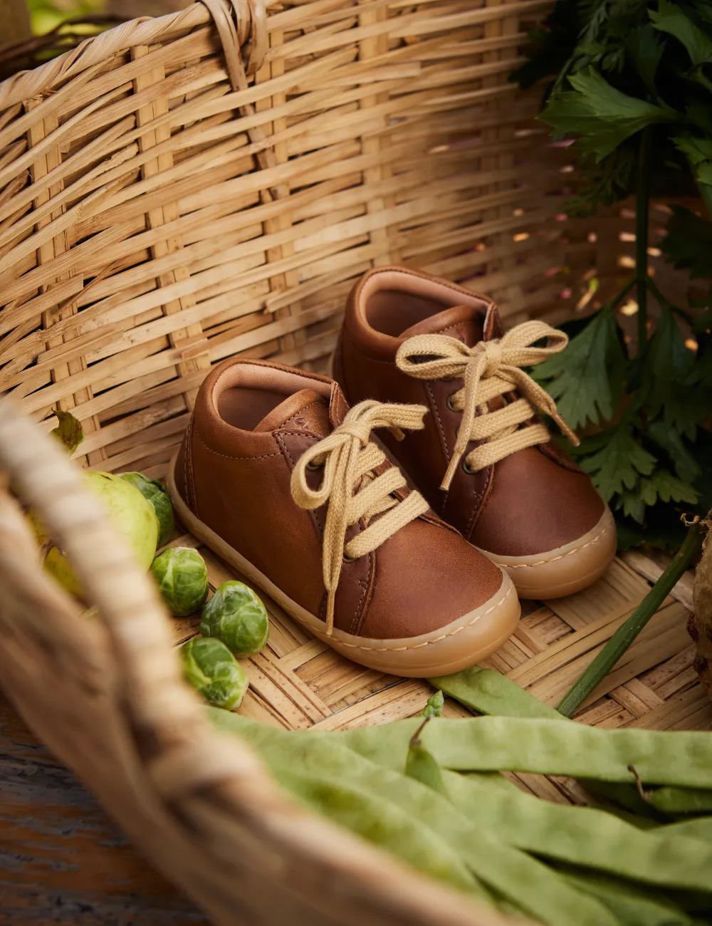 Everyday shoe Lace - Cognac